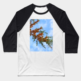 Rowan Tree Branch Baseball T-Shirt